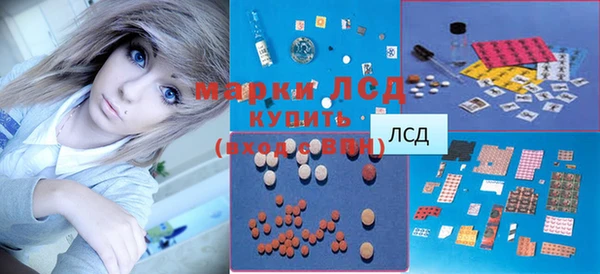 мет Алексин